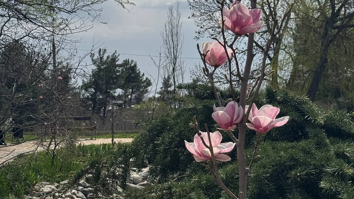 Погода в Екатеринбурге ухудшится к началу апреля: циклон принесет осадки