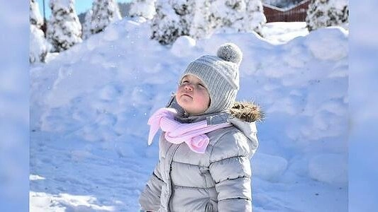 Главная картинка новости: Выплаты детям и защита животных: какие законы вступают в силу с 1 января?