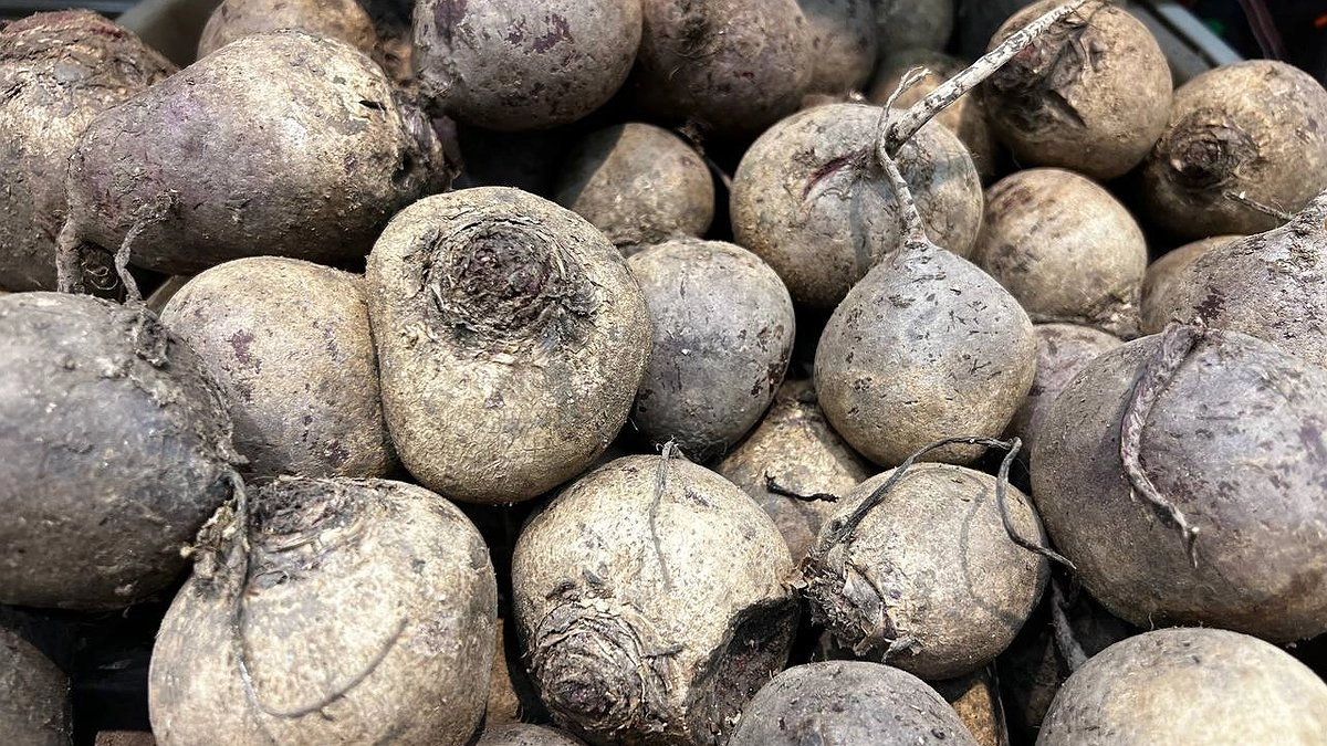 Рецепт сытного салата со свеклой: такой вкусный, что у домашних только за ушами трещит