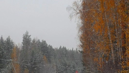 МЧС предупредило о сложной обстановке на дорогах Урала из-за гололеда