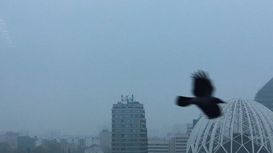 В Свердловской области сняли предупреждение о смоге