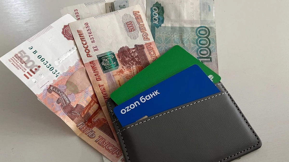 Россияне рекордно запаслись наличкой: в чём причина