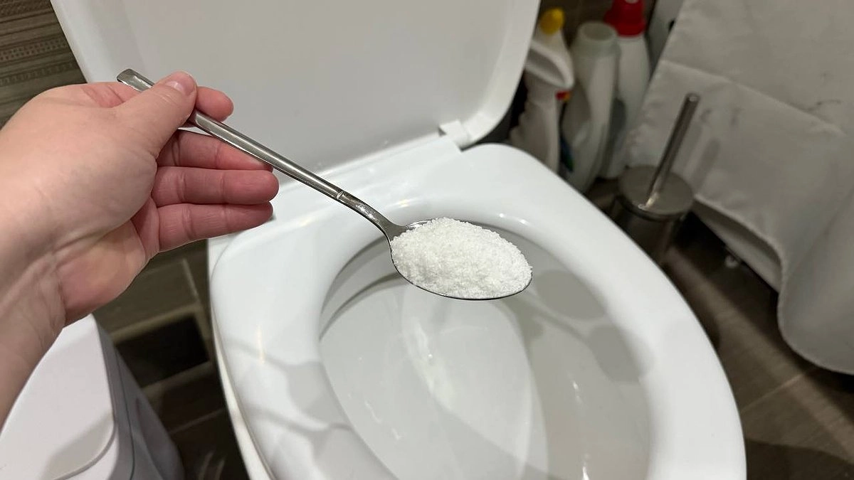 Главная картинка новости: Засыпала ложку соли в унитаз, а на утро он как новый: проверяю советы от горничной