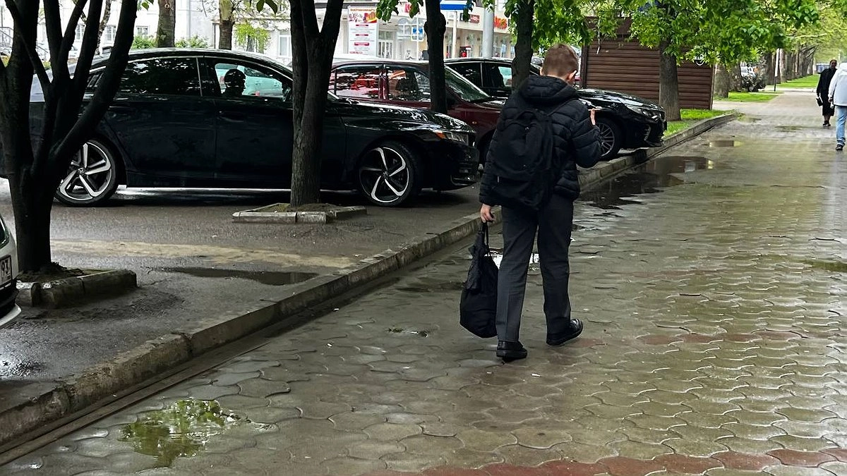 Ожидаются кошмарные ливни, ждите капризное лето - синоптики поделились прогнозом на август-2025