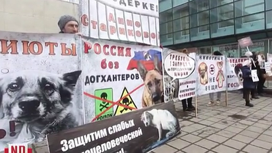 Екатеринбуржцы вышли на пикет в защиту животных