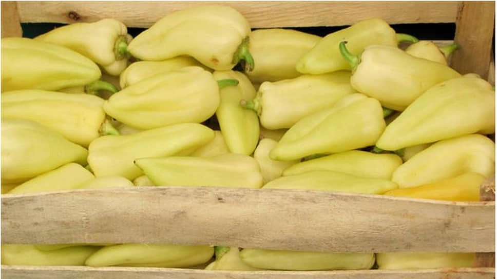 В Екатеринбург из Казахстана доставлено 20 тонн свежего перца