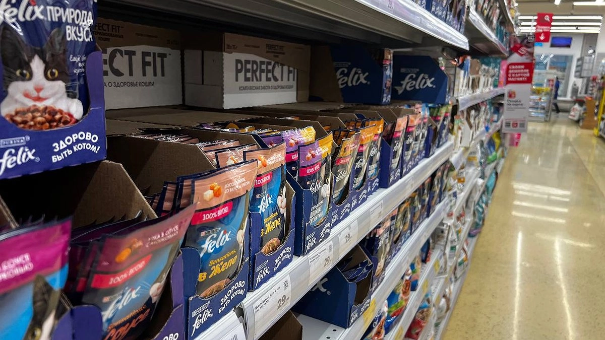 "Перестаньте кормить кошек такой отравой": в Роскачестве озвучили самые худшие марки корма для питомцев