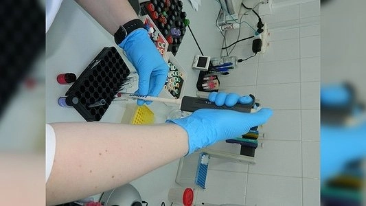 В Екатеринбурге врачи-мошенники "лечили" жителей от несуществующих болезней