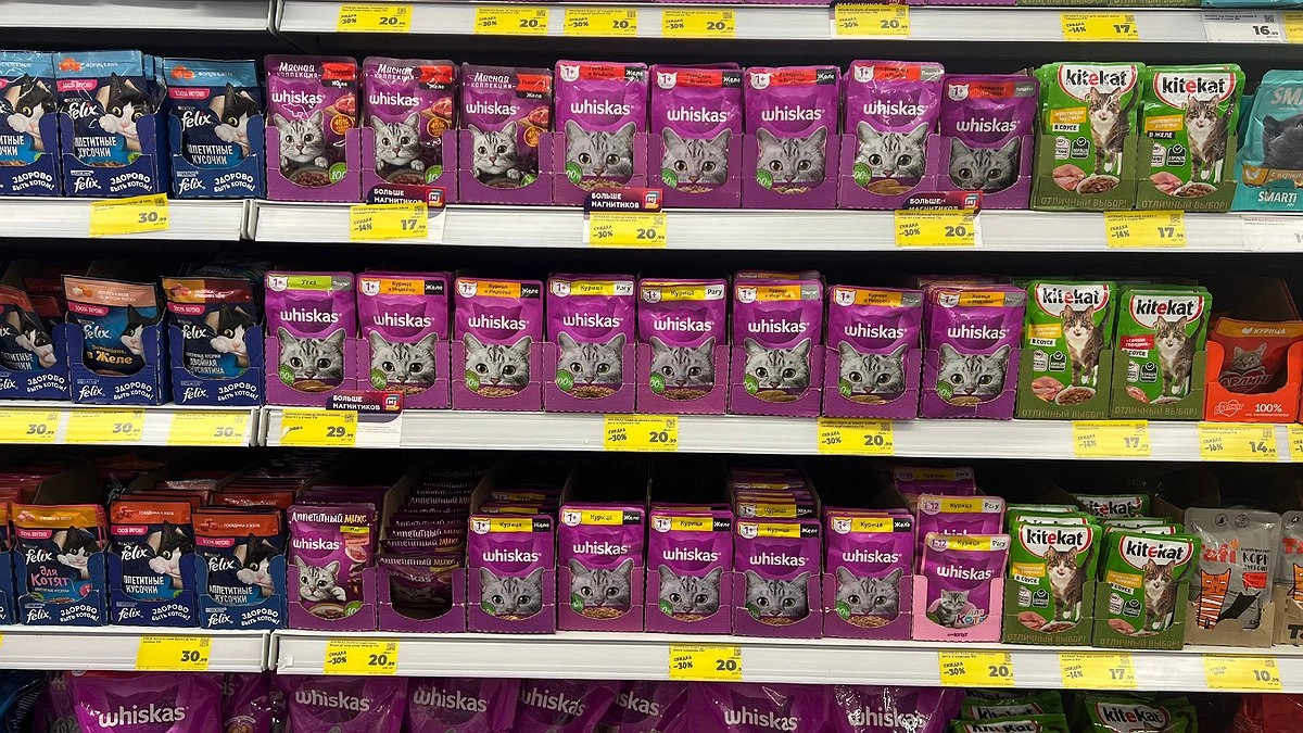 Прекратите травить этим кошек: в Роскачестве озвучили самые плохие марки корма для питомцев