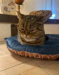 Фотография автора: Ирина Волобуева 