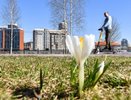 Какой будет погода весной в Свердловской области? Прогноз синоптиков