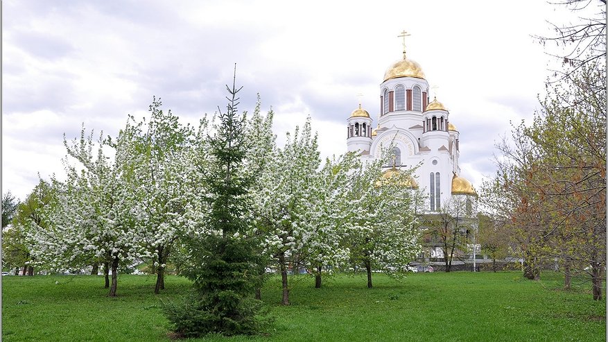 Перевалит за 30: аномальную жару обещают в Свердловской области 