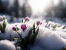 Теплее на 30 градусов: синоптики рассказали, когда в Свердловской области закончатся морозы