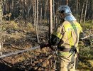 В Свердловской области отменили особый противопожарный режим