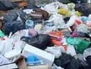 Виноваты морозы: Свердловская область превратилась в огромную свалку