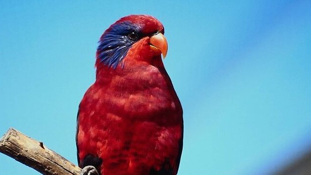 Главная картинка новости: Овнам самое время помириться с друзьями, а Стрельцам заняться творчеством: НАШ гороскоп на неделю с 27 марта по 2 апреля