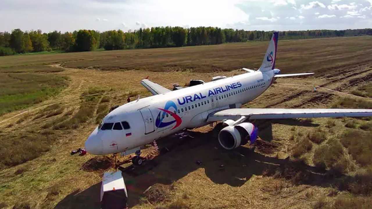 Главная картинка новости: Пилотов «Уральских авиалиний», посадивших самолет в пшеничном поле, полгода уже не допускают к полетам
