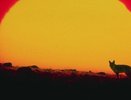 Тельцы будут мастерами убеждения, а у Дев могут возникнуть конфликты с близкими. НАШ гороскоп с 17 по 23 апреля