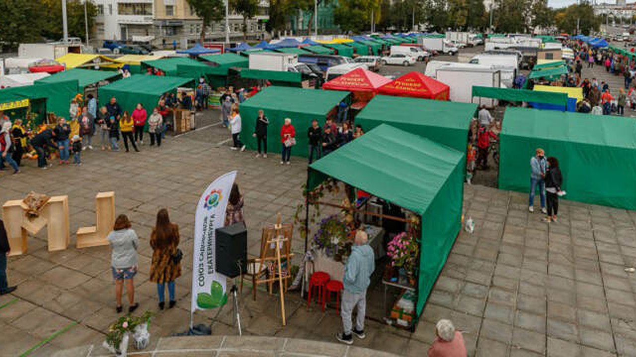 Главная картинка новости: Ярмарка выходного дня вновь откроется на площади перед ратушей