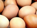 Не больше одной упаковки: в Екатеринбурге ввели ограничения на продажу яиц