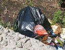 В Свердловской области пересмотрят цены на вывоз мусора