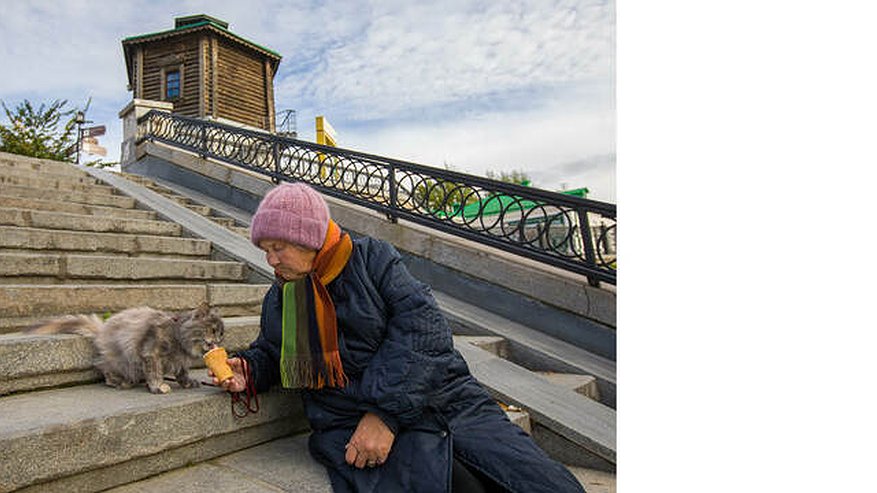 Главная картинка новости: В VEER Mall откроется выставка о бездомных людях и животных #НеВсеДома