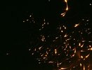 Екатеринбуржцы пожаловались на петарды, летящие в них из окон дома