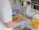 В Уральском юридическом институте МВД произошла вспышка опасной инфекции