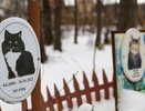 Жуткое зрелище: на Химмаше за парком процветает стихийное кладбище домашних животных