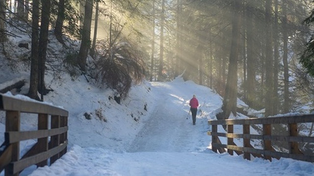 Главная картинка новости: Какой будет погода в новогоднюю ночь в Свердловской области?