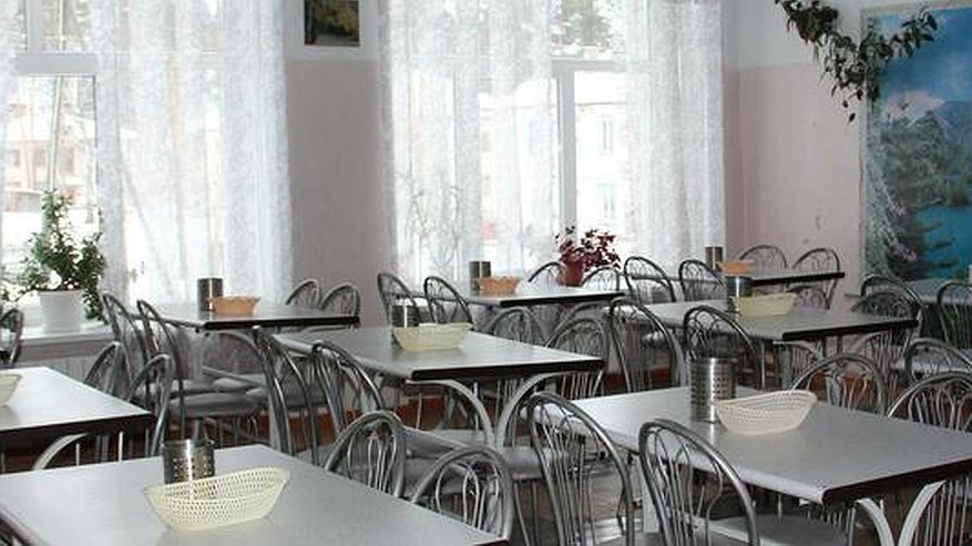 Главная картинка новости: Власти выделили 100 млн на горячее питание для свердловских младшеклассников