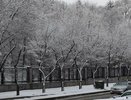 Из Екатеринбурга за ночь вывезли больше 440 тонн снега