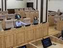 Больницы Екатеринбурга рассказали медицинской фракции гордумы о своих нуждах