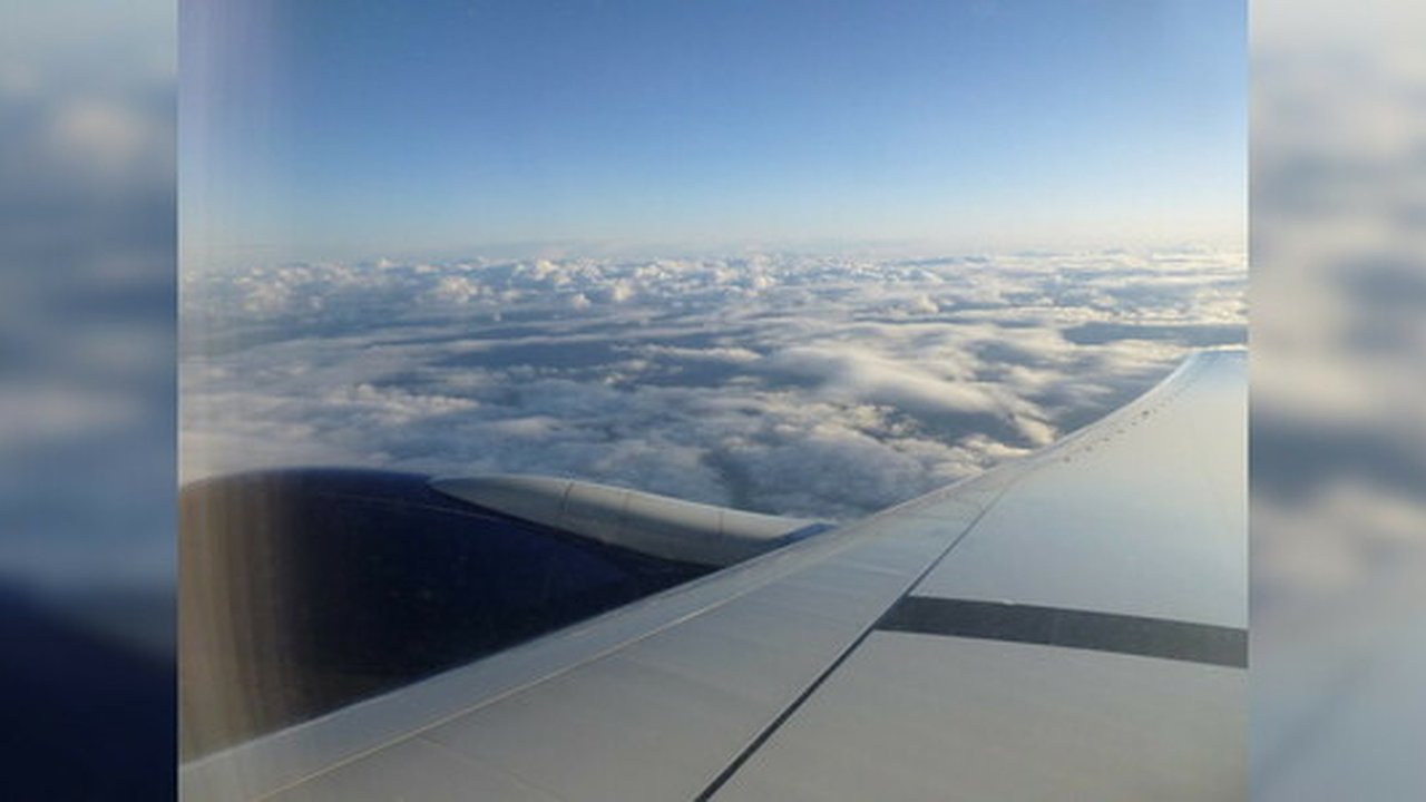 Главная картинка новости: При вылете из Москвы в самолет "Уральских авиалиний" снова врезалась птица