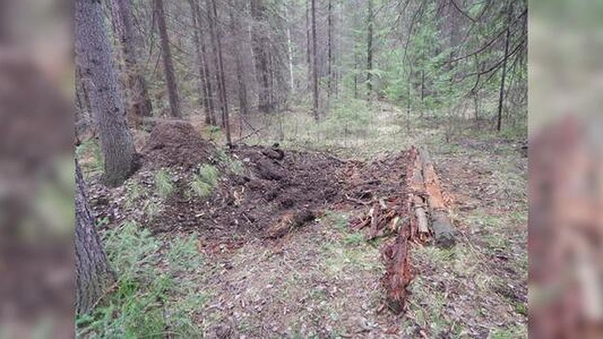 Ворвались в квартиру и увезли в лес: в Свердловской области мужчину убили, вымогая у него 14 тысяч рублей