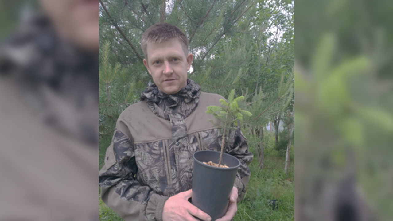 Главная картинка новости: Уральский ученый создал стартап, найдя в лесу странную ель