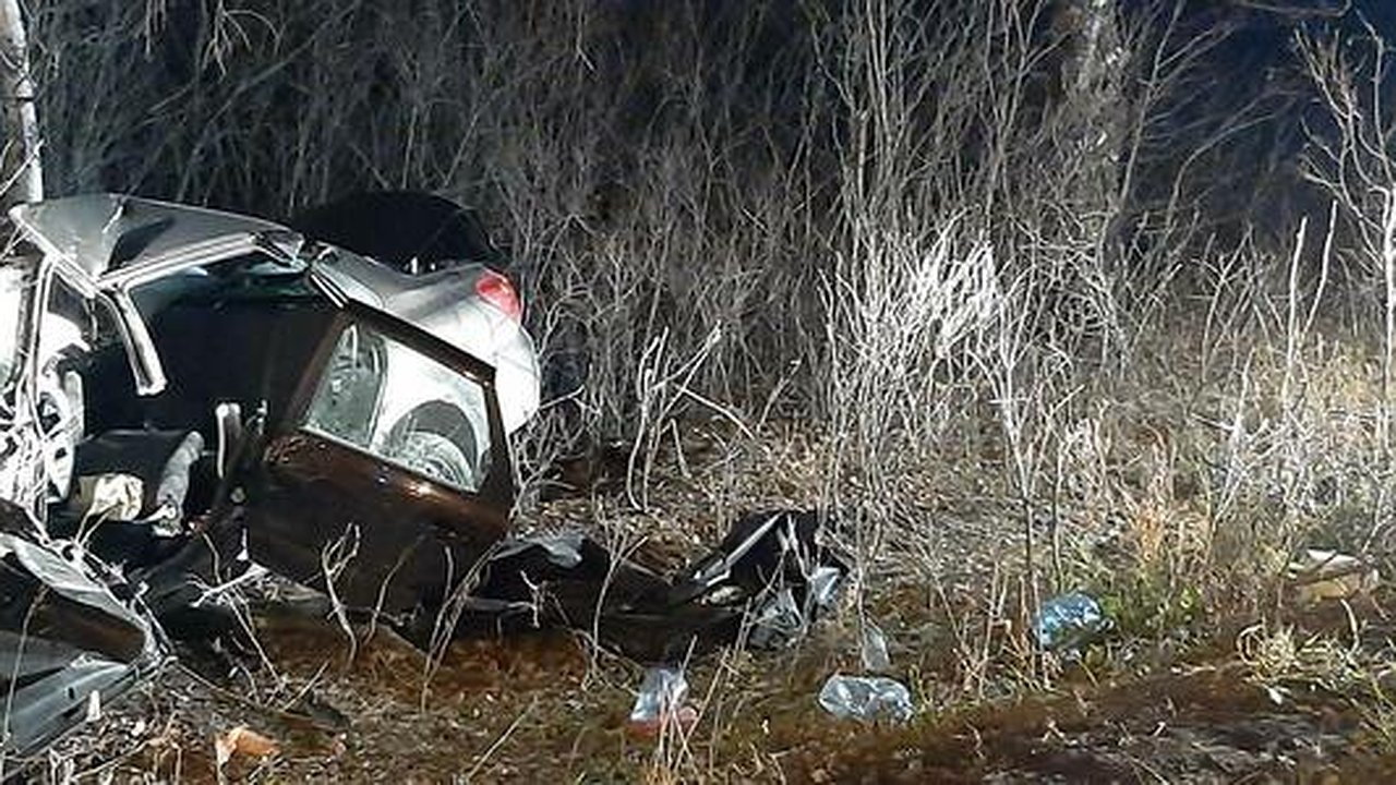 Главная картинка новости: В Екатеринбурге женщина погибла в ДТП: машина врезалась в дерево