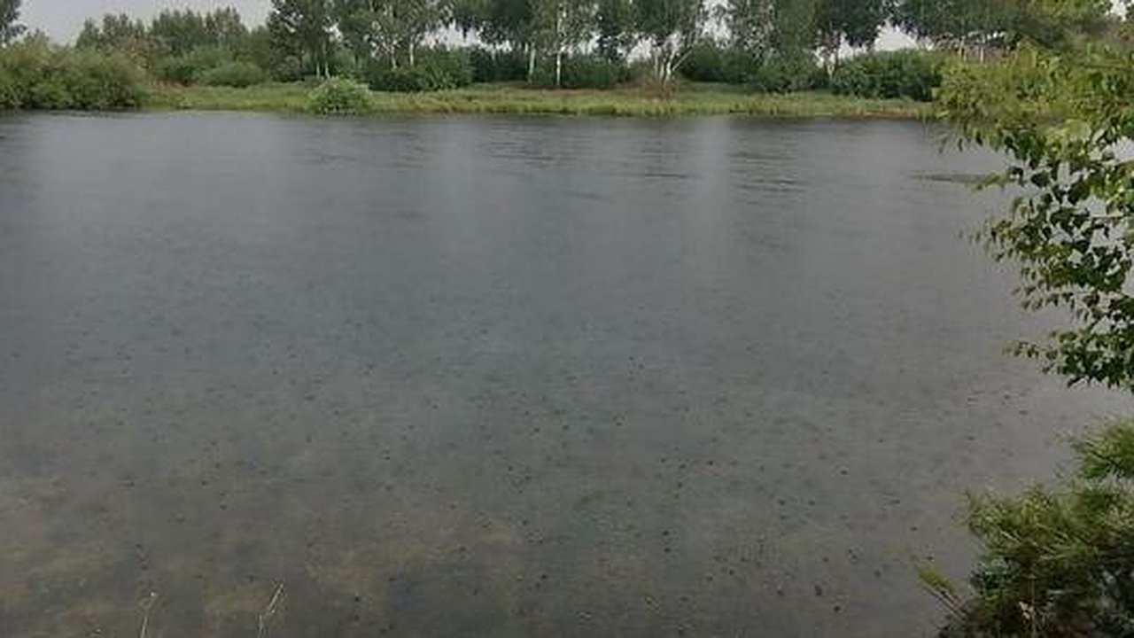 Главная картинка новости: На Шарташе начали строить ТЛЦ "Уральский", несмотря на протесты местных