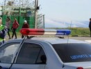 На Сибирском тракте во время погони за нарушителем погиб прохожий