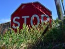 В Екатеринбурге на неделю перекроют улицу Софьи Ковалевской