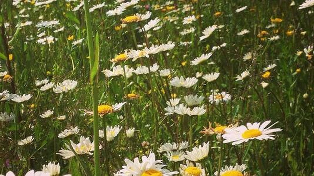 Главная картинка новости: Синоптики рассказали, когда в Екатеринбурге наконец-то похолодает