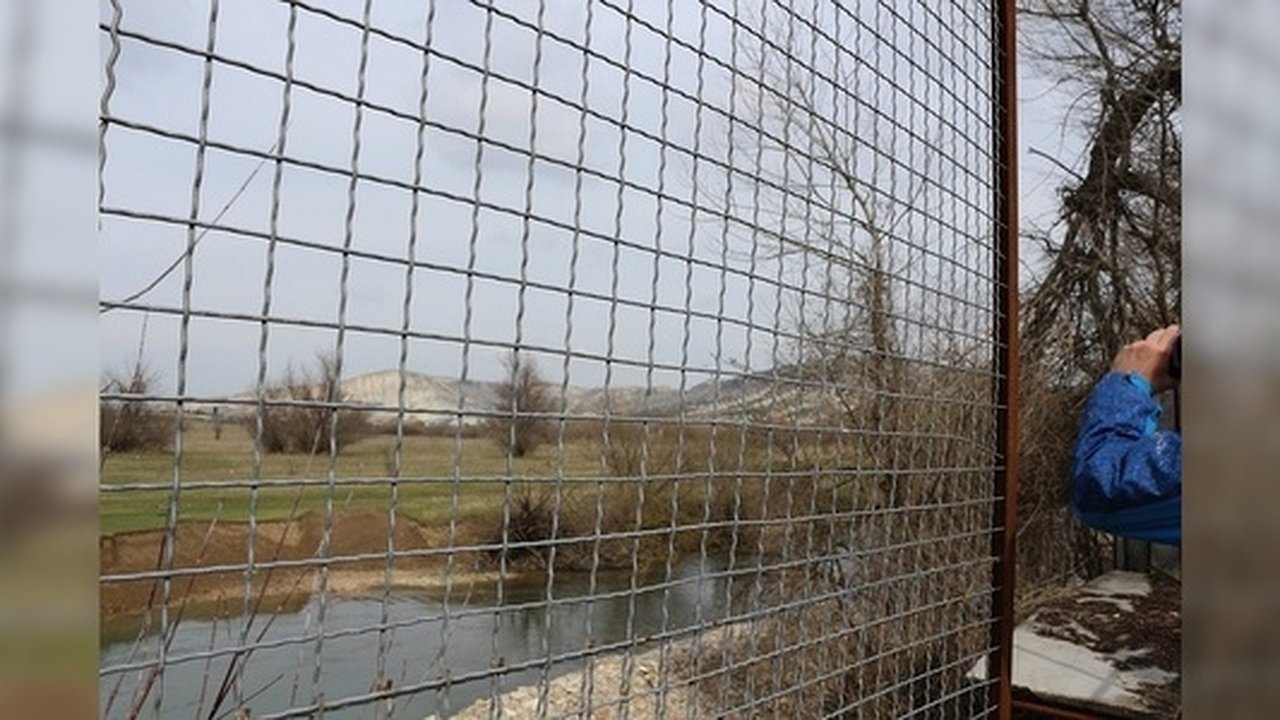 Главная картинка новости: Парки и скверы закроют на ночь: в администрации Екатеринбурга обсуждают этот вопрос