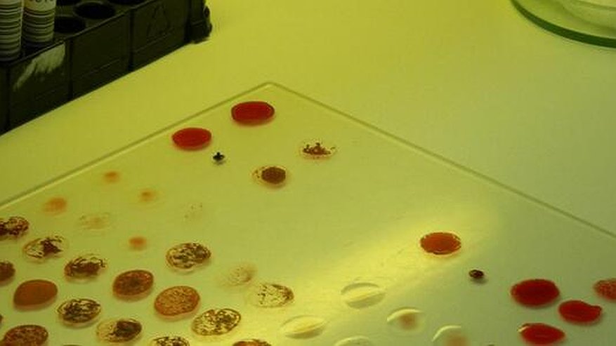 Главная картинка новости: За сутки в Свердловской области выявили 372 новых случая Covid-19