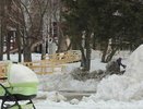 В Екатеринбурге началось голосование за благоустройство одного из пяти парков в 2022 году