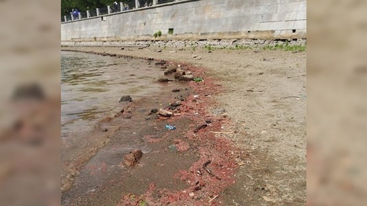 Главная картинка новости: Работы на Макаровском мосту приостановили из-за загрязнения Исети