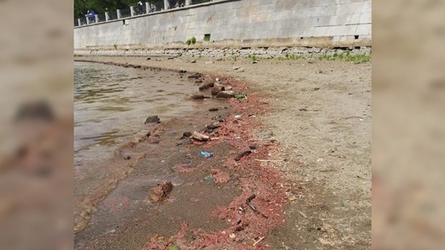 Главная картинка новости: Работы на Макаровском мосту приостановили из-за загрязнения Исети