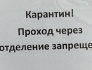 В Екатеринбурге ГКБ №20 закрыли на карантин из-за коронавируса