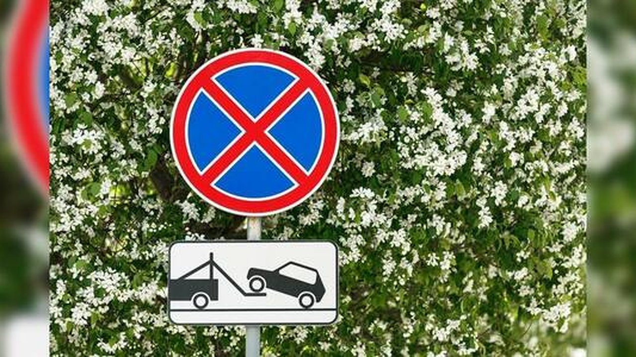 Главная картинка новости: В Екатеринбурге еще на трех улицах запретили парковаться