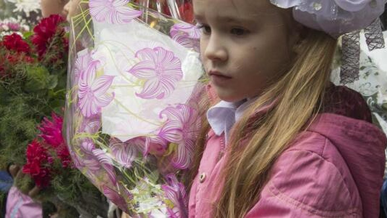 Главная картинка новости: Не купили учебники и не сделали дороги: свердловские школы оказались не готовы к 1 сентября