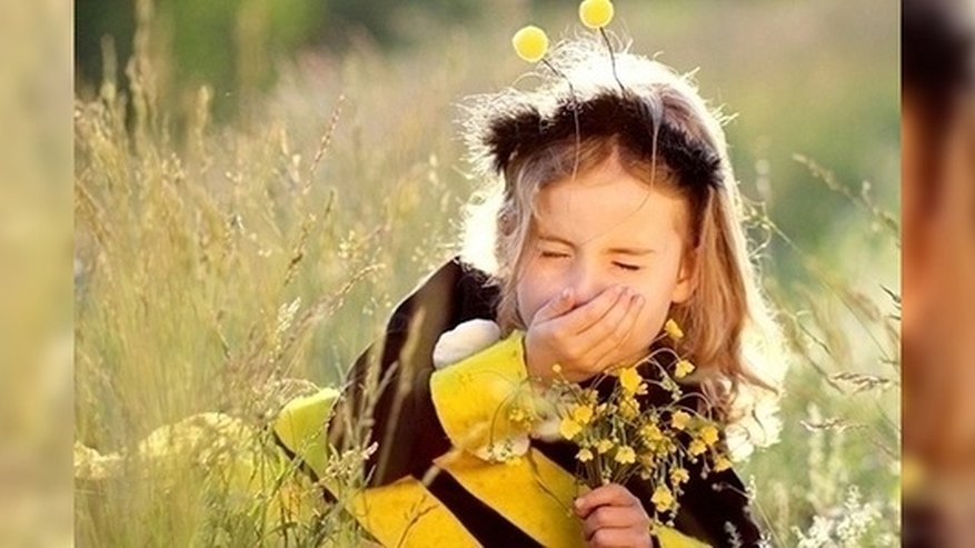 Главная картинка новости: Аптека «Ваша №1»